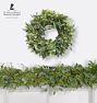 Live Wooly Bush &amp; Seeded Eucalyptus Garland and Wreath