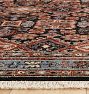 Bales Hand-Knotted Rug