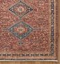 Francine Hand-Knotted Rug