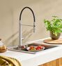 Schaeffer Indoor/Outdoor Kitchen Faucet With Button Sprayer