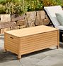Yarrow 48" Outdoor Teak Storage Trunk
