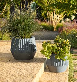Indoor Planters & Pots | Rejuvenation