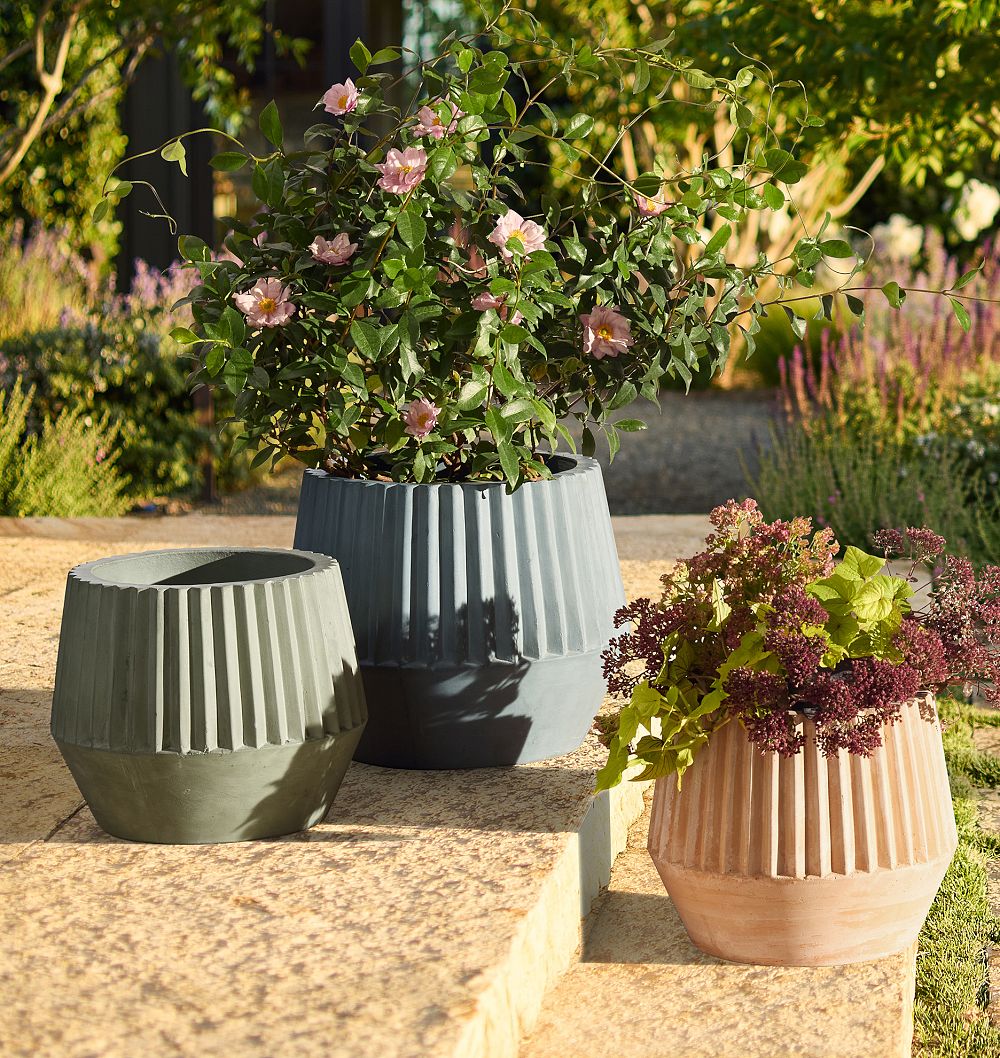 Lawrence Concrete Planters by Rejuvenation