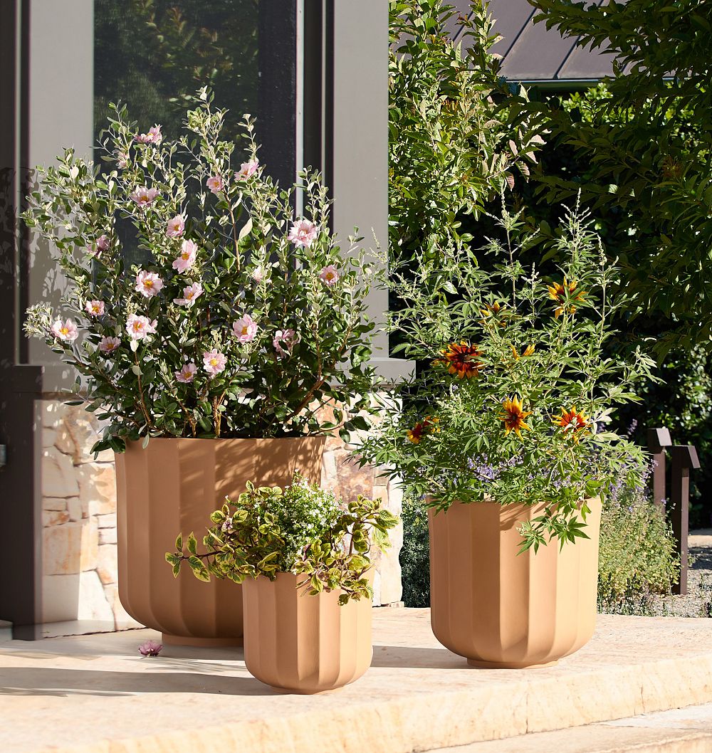 Liza Ficonstone Planters by Rejuvenation