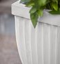 Marlow Concrete Planters