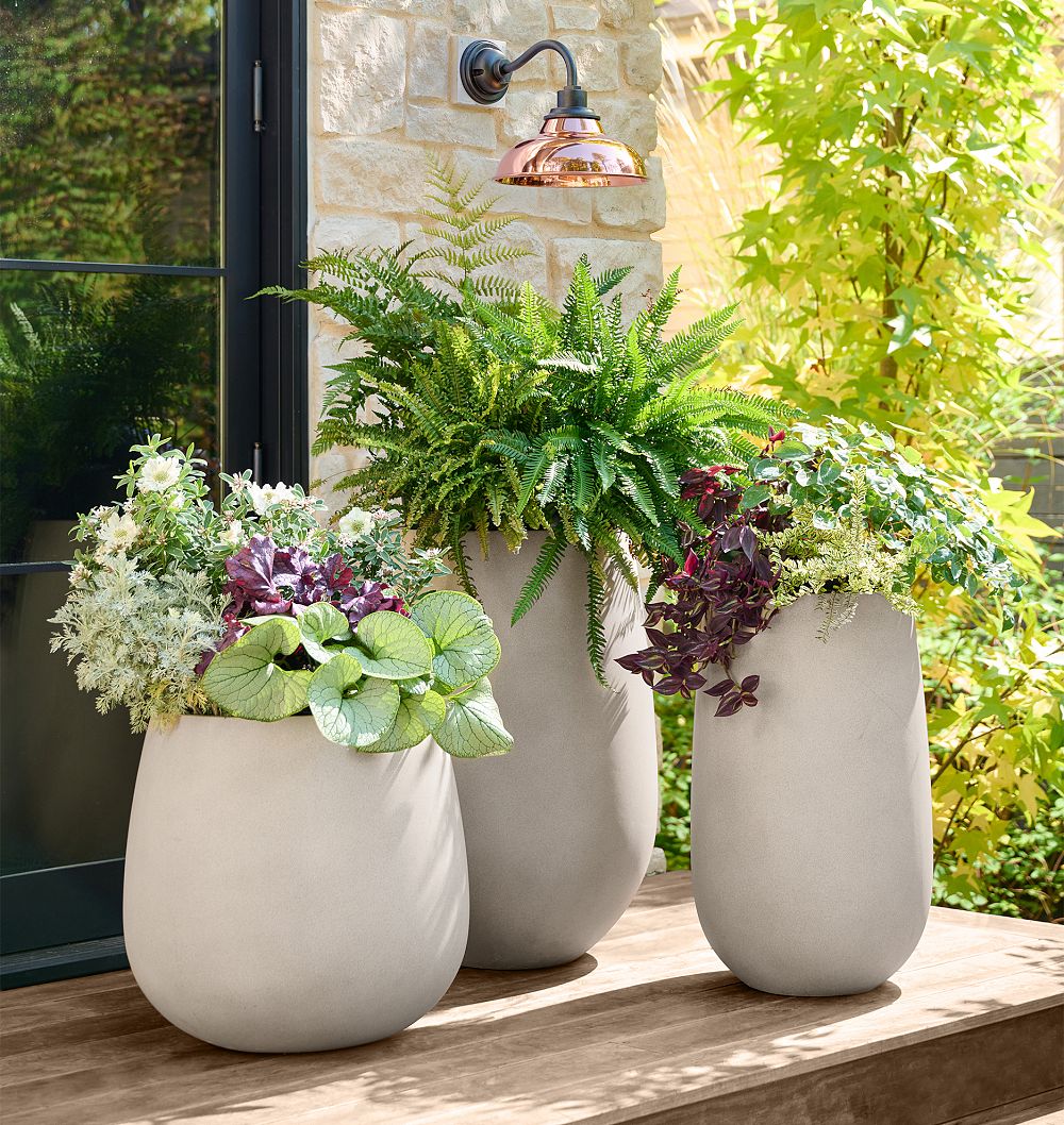 Napa Ficonstone Planters by Rejuvenation