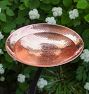 Hammered Copper Birdbath