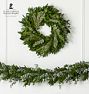 Live Ruscus, Baby Blue Eucalyptus &amp; Rosemary Garland and Wreath
