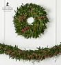 Live Ruscus &amp; Pepperberry Garland and Wreath