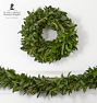 Live Ruscus &amp; Rosemary Garland and Wreath