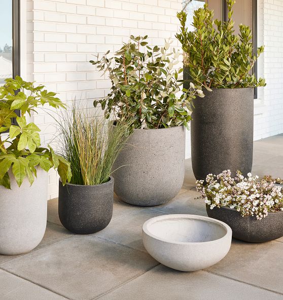 moss pole plant support Self-Watering Moss Pole Alternative main image 1