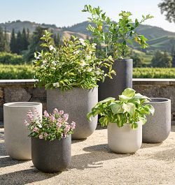 Cast Stone - Planters &amp; Pots | Rejuvenation