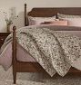 Lenwood Bed