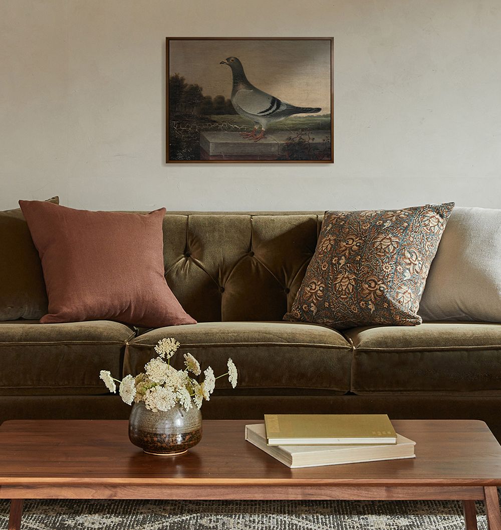 Pigeon Framed Reproduction Wall Art Print by Rejuvenation