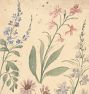 Four Studies of Pink and Blue Flowers Framed Reproduction Wall Art Print