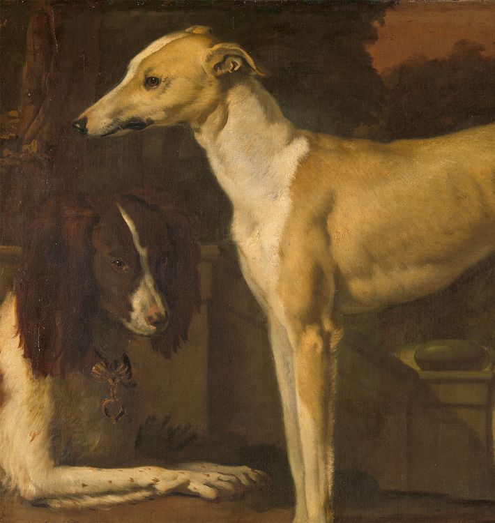Portrait Of A Greyhound And A Partridge Dog Reproduction Wall Art