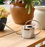 Stainless Steel Watering Can