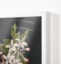 Flower Study II Framed Reproduction Wall Art Print