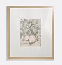 Emperor Alexander Apples Framed Reproduction Wall Art Print 8"x10" by Jac van Looij