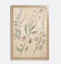 Four Studies of Pink and Blue Flowers Framed Reproduction Wall Art Print 10"x14" by Elias van Nijmegen