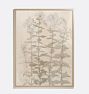 Studies of Phlox Framed Reproduction Wall Art Print 14"x18" by Julie de Glad
