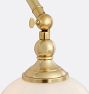 Theo Articulating Sconce, Glass Shades