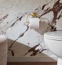 Bradshaw Toilet Paper Holder