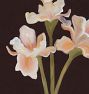 Blooming Wall Art Print