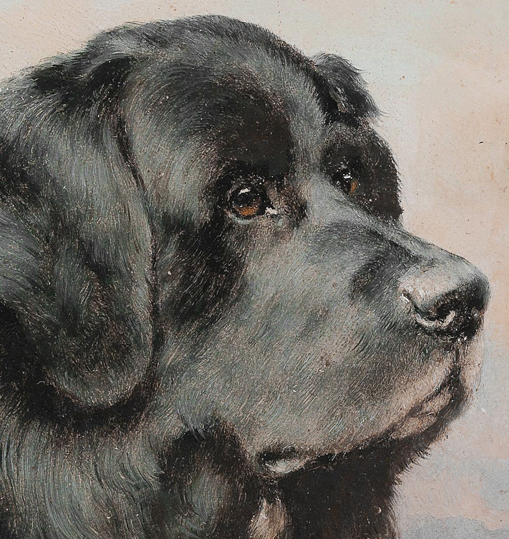 Newfie Wall Art Print by Rejuvenation