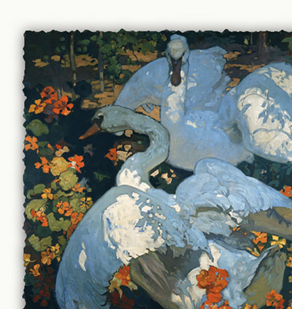 Swans in Light Wall Art Print by Rejuvenation