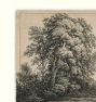 Forest Landscape Wall Art Print