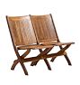 Vintage Traditional 20th Century Folding Theater 2-Seat Bench with Slated Back