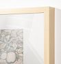 Emperor Alexander Apples Framed Reproduction Wall Art Print