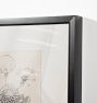 Dandelion Framed Reproduction Wall Art Print