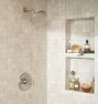 Trask Pressure Balanced Shower Set