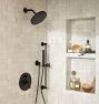 Trask Pressure Balanced Shower Set With Handshower