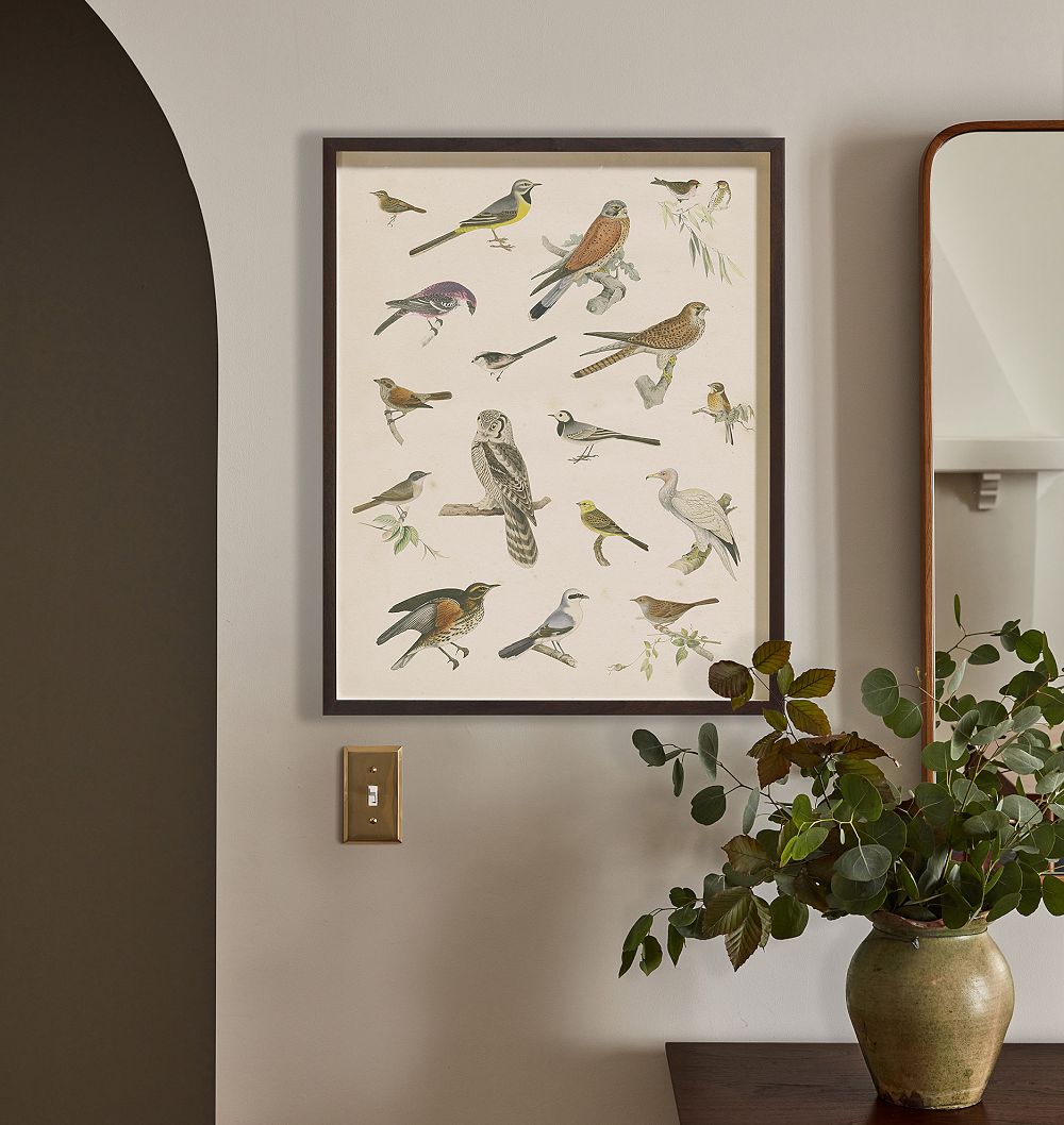 Bird Menagerie Wall Art Print by Rejuvenation