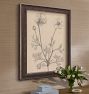 French Botanicals Wall Art Print
