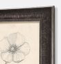 French Botanicals Wall Art Print