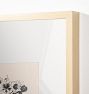 Drawing of Nasturtuims Framed Reproduction Wall Art Print