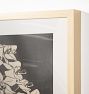 Orchids Framed Reproduction Wall Art Print
