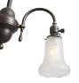 Vintage Victorian Chandelier 2 Arm Electric