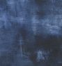 Indigo by Eli Sonder Reproduction Wall Art Print