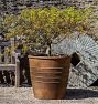 Mill Valley Cast Stone Planter