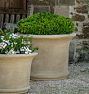Sagamore Cast Stone Planter