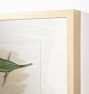 Birds by Sinclair Framed Reproduction Wall Art Print