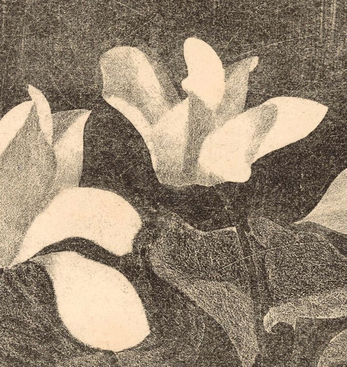 Cyclamen by Samuel Jessurun De Mesquita Framed Reproduction Wall