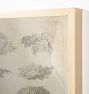 Foliage Studies Framed Reproduction Wall Art Print