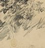 Nature Study Sketch by Walter Shirlaw Framed Reproduction Wall Art Print