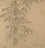 Papaya Tree, Ecuador by Frederic Edwin Church Framed Reproduction Wall Art Print